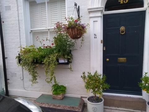 Flowers at number 45