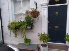 Flowers at number 45